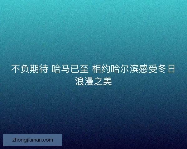 不负期待 哈马已至 相约哈尔滨感受冬日浪漫之美