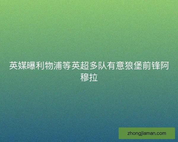 英媒曝利物浦等英超多队有意狼堡前锋阿穆拉
