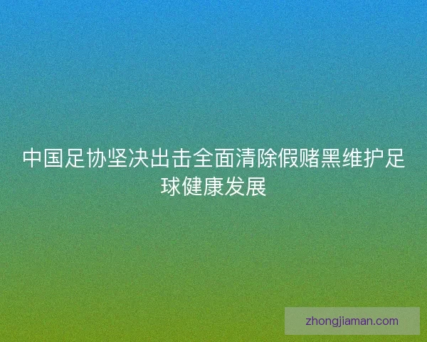 中国足协坚决出击全面清除假赌黑维护足球健康发展